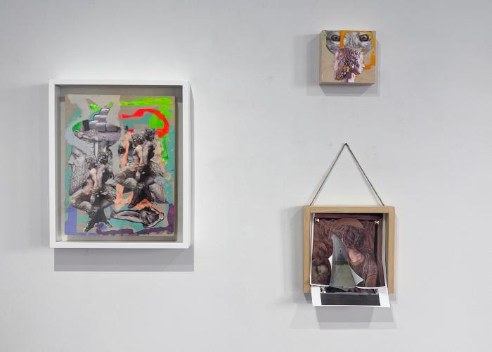 Installation View of JANUS