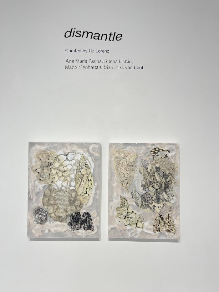 Installation View of dismantle