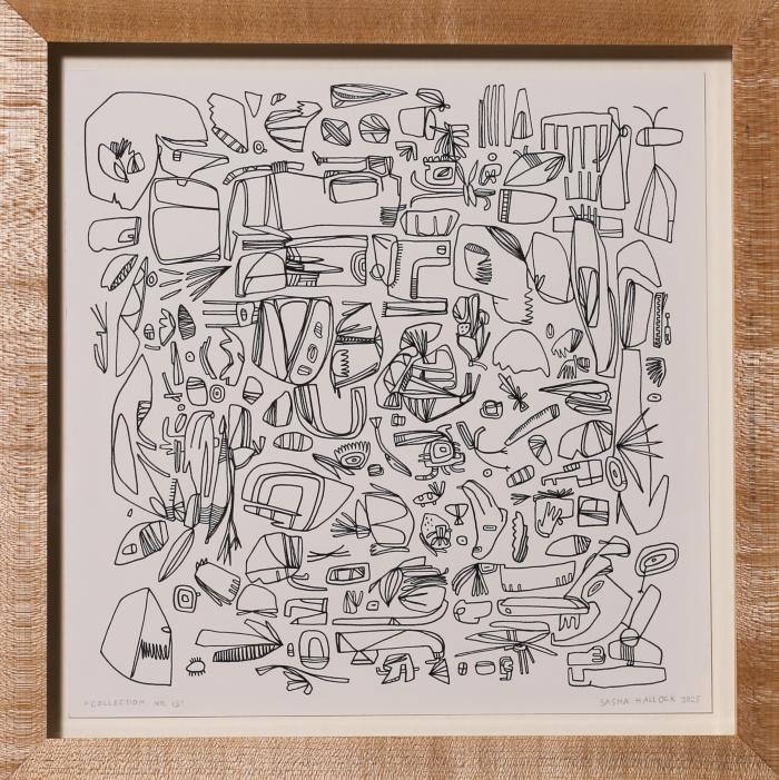 Collections No. 13 by Sasha Hallock
