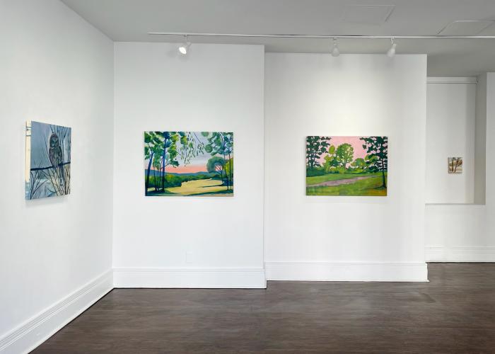 Installation View of Where The Owl Soars