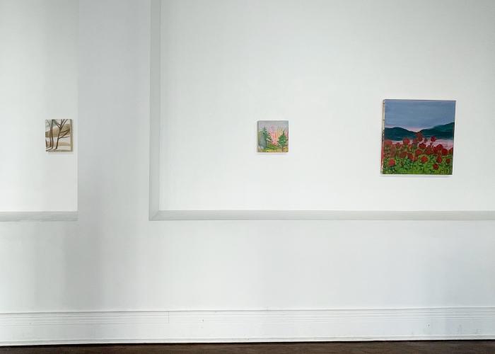 Installation View of Where The Owl Soars