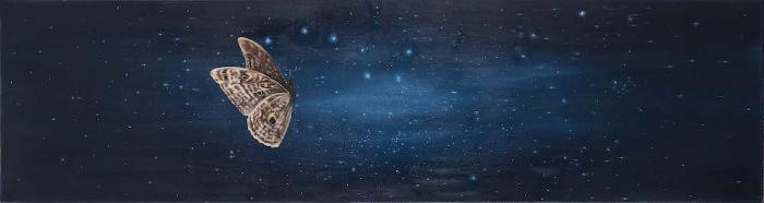 Celestial Navigation by Allison Green
