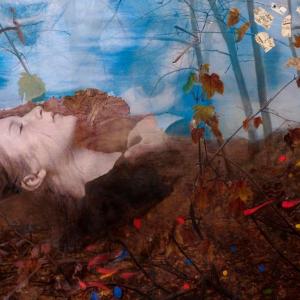 Sleeping Beauty by Audrey Bernstein