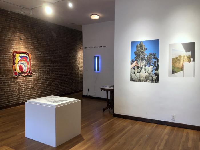 Installation View of New Voices for the Twenties II
