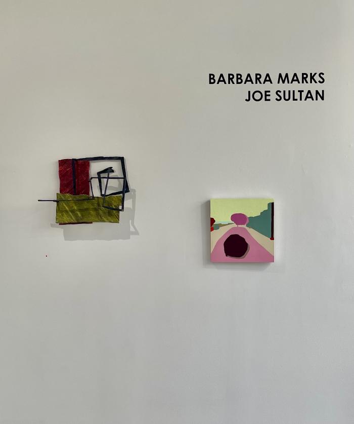 Installation View of Barbara Marks and Joe Sultan
