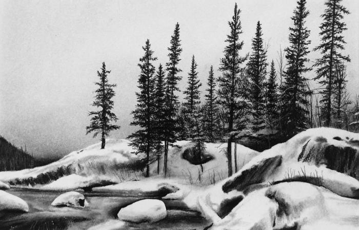 Winter Scene in Yoho by Katherine Curci