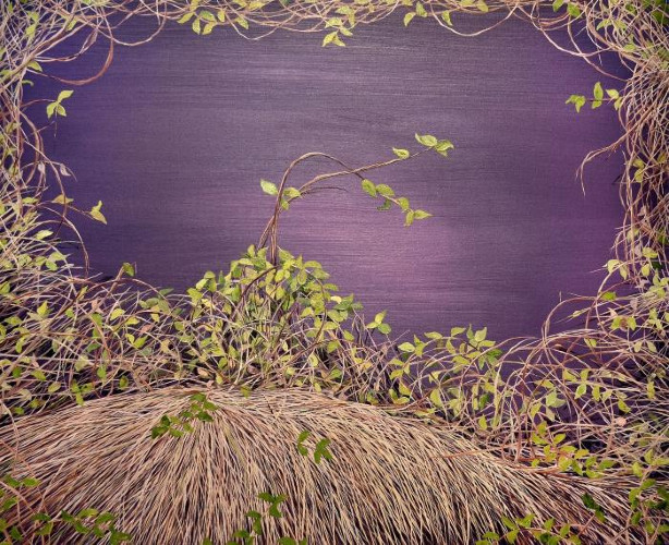 Deep Violet Thicket by Allison Green