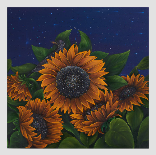 Sun and Stars by Allison Green