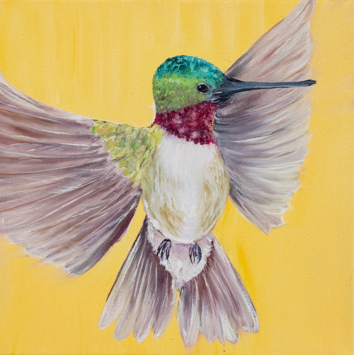 Ruby Throated Hummingbird Study by Allison Green