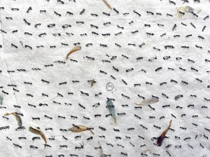 Ants (Petal) by Fumiko Toda