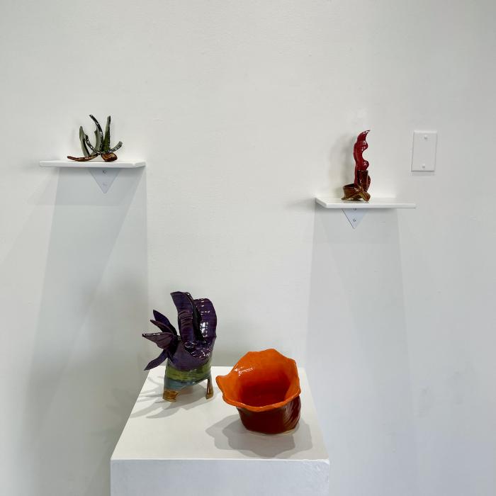 Installation View of Shoots & Stars
