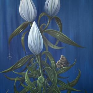 Midnight Lilies by Allison Green