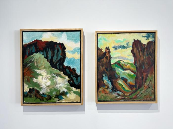 Installation View of Refracted Wilderness