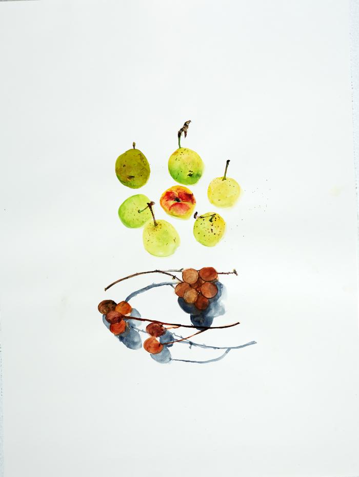 Pears and Lychees by Eunju Kang