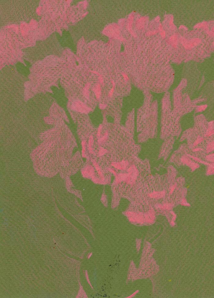 Pink Carnations (sketch) by Rachel Burgess