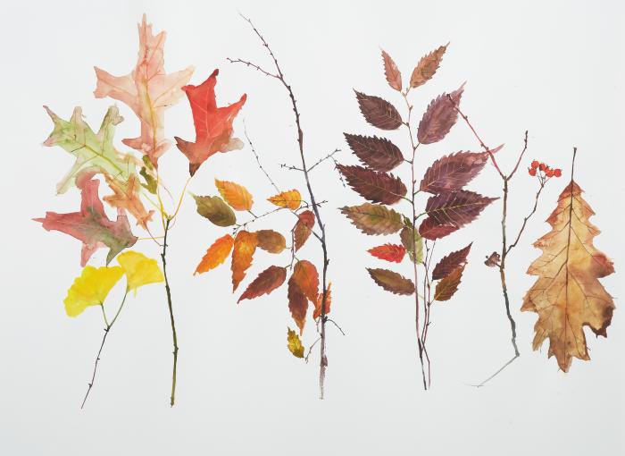Fall Leaves by Eunju Kang