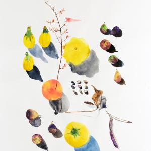 Seeds by Eunju Kang