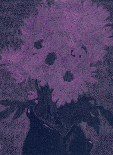 Daisies VII (sketch) by Rachel Burgess