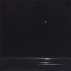 Midnight by Donna Levinstone