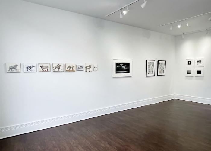 Installation View of Black & White Show