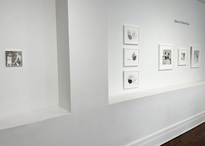 Installation View of Black & White Show