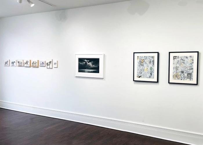 Installation View of Black & White Show