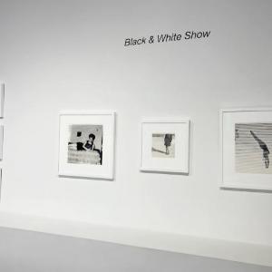 Black & White Show