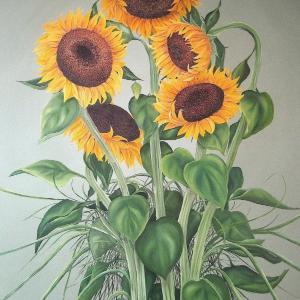Sunflowers (Life) by Allison Green