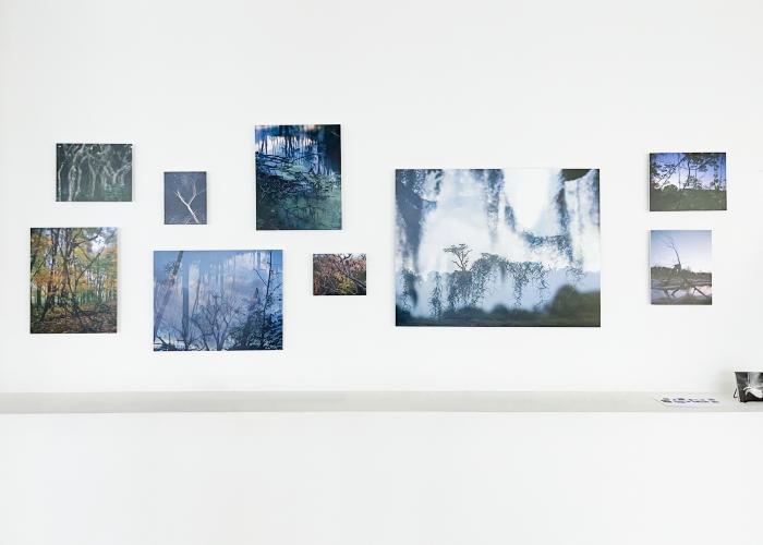 Installation View of Landscapes of Transcendence: Part II - Scenes of Ethereality