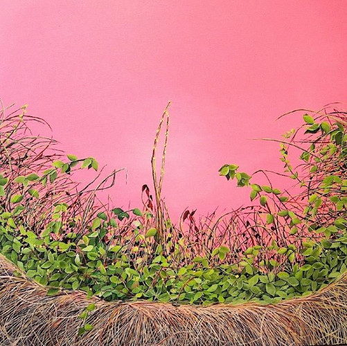 Pink Thicket by Allison Green
