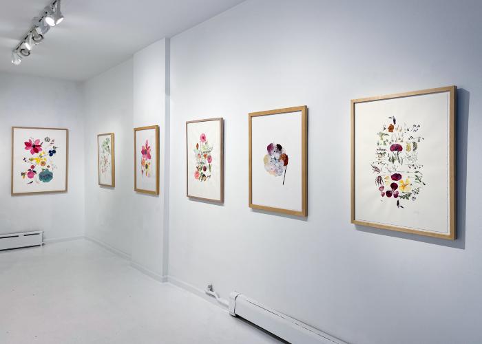 Installation View of Curio