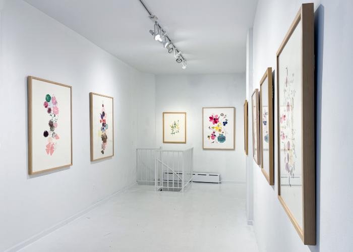 Installation View of Curio