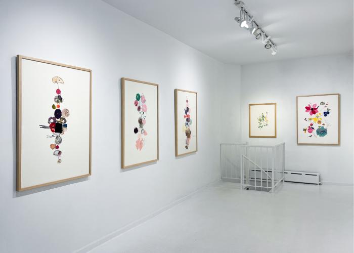 Installation View of Curio