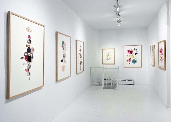 Installation View of Curio