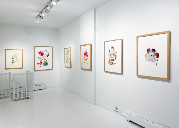 Installation View of Curio