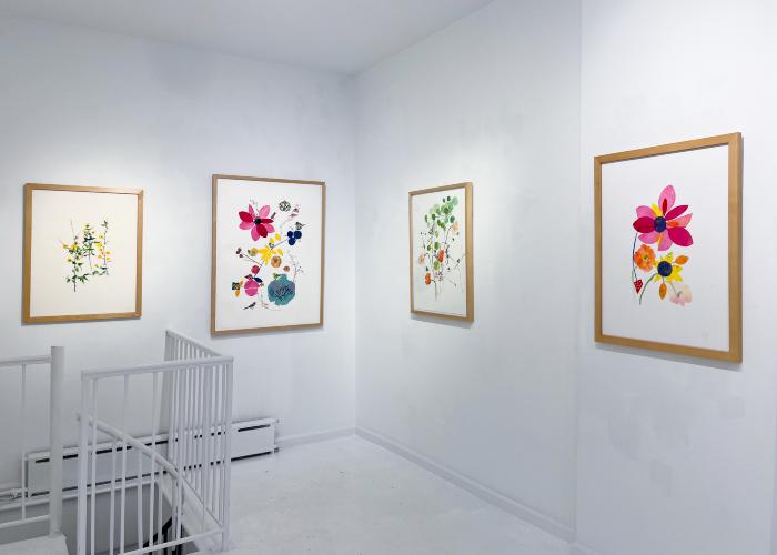 Installation View of Curio