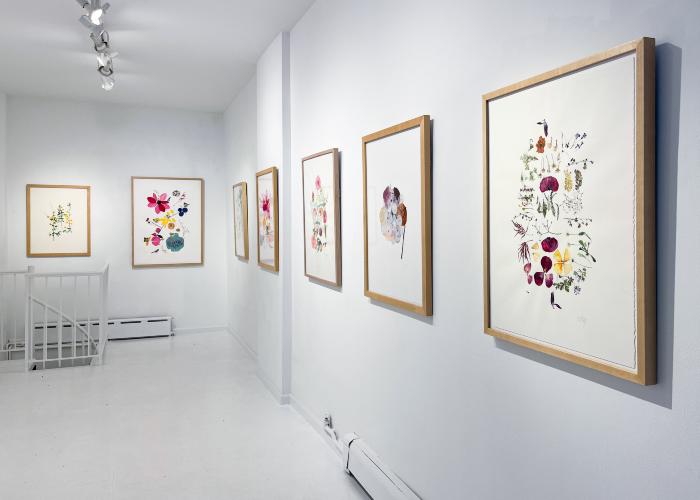 Installation View of Curio