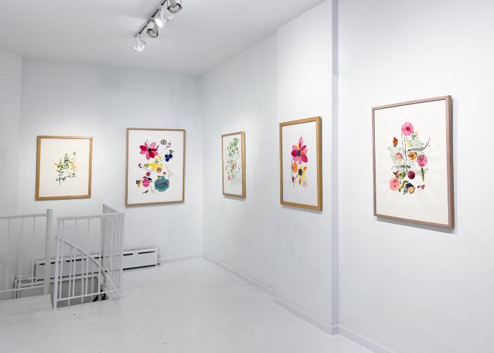 Installation View of Curio