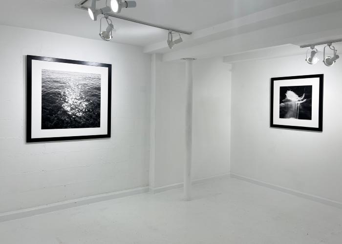 Installation View of Heather Boose Weiss & Katherine Curci 