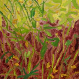 Cattails, Jewelweed and Detritus, III by Rachelle Krieger