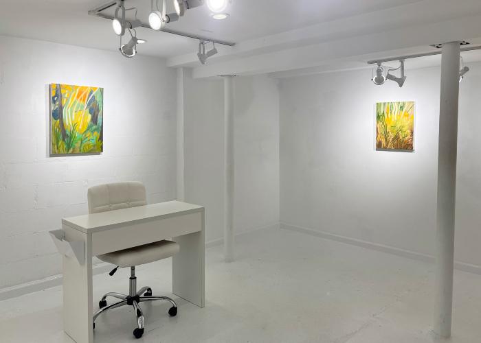 Installation View of Fireflies & Jewelweed