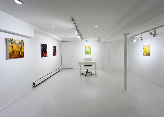Installation View of Fireflies & Jewelweed